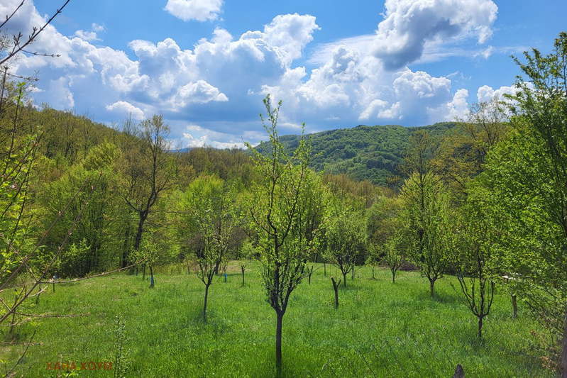 Plot in Oblast Lovech, Troyan