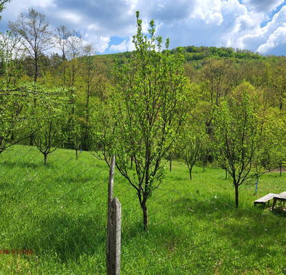 Photo 2 — Plot in Oblast Lovech, Troyan