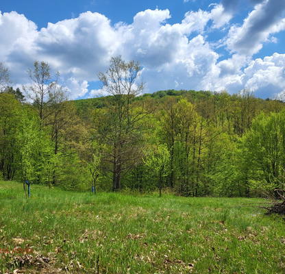 Photo 3 — Plot in Oblast Lovech, Troyan