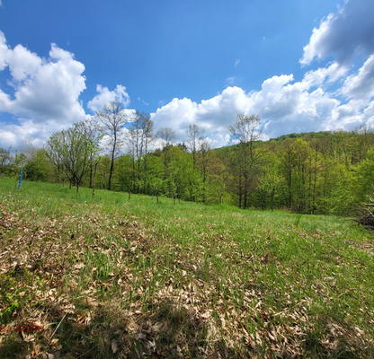 Photo 4 — Plot in Oblast Lovech, Troyan