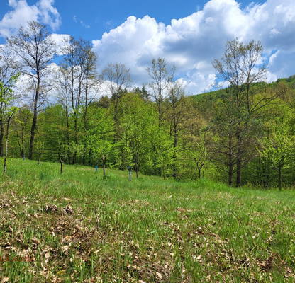 Photo 5 — Plot in Oblast Lovech, Troyan