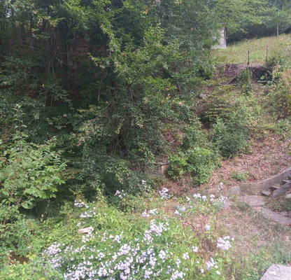 Photo 5 — Plot in Oblast Lovech, Troyan