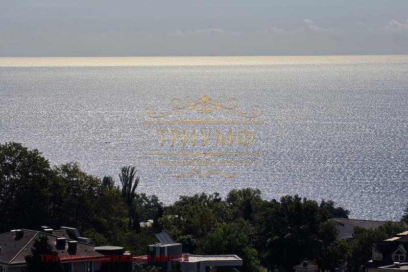 Plot in Varna, Alen Mak