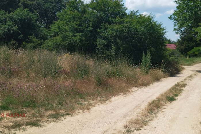 Plot in Varna, Perchemliyata
