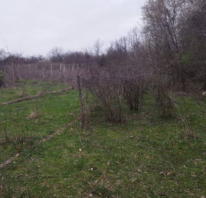Photo 3 — Plot in Vraca, Vodni Gradini
