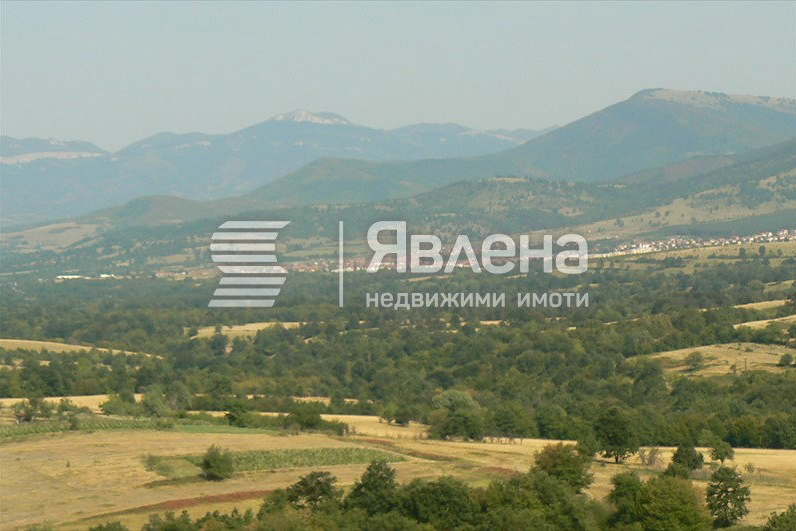 Парцел в Монтана, Вършец