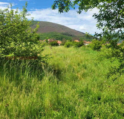 Photo 4 — Plot in Oblast Pernik, Zemen