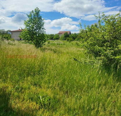 Photo 5 — Plot in Oblast Pernik, Zemen