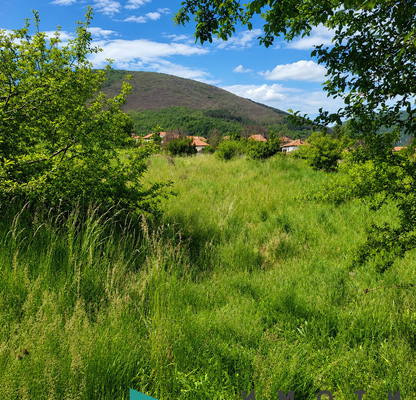 Photo 3 — Plot in Oblast Pernik, Zemen