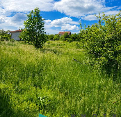 Photo 4 — Plot in Oblast Pernik, Zemen