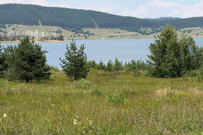 Парцел в Пазарджик, м-т Цигов чарк
