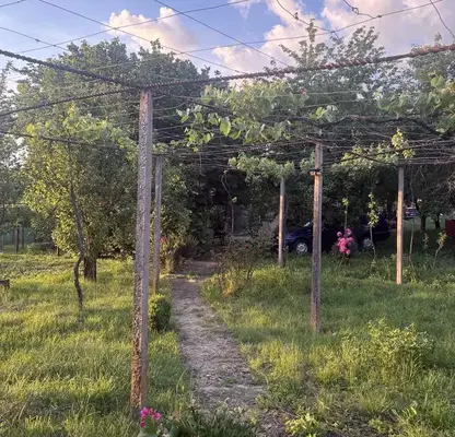 Снимка 2 — Промишлена сграда в Кюстендил, с. Горна Гращица