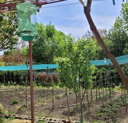 Снимка 4 — Промишлена сграда в Русе, с. Николово