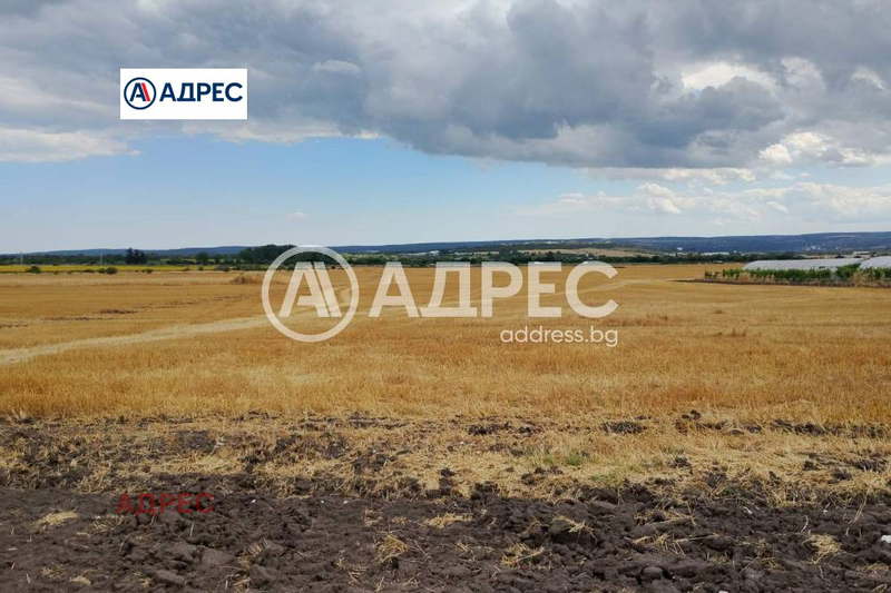 Agricultural Land in Oblast Varna, Ignatievo
