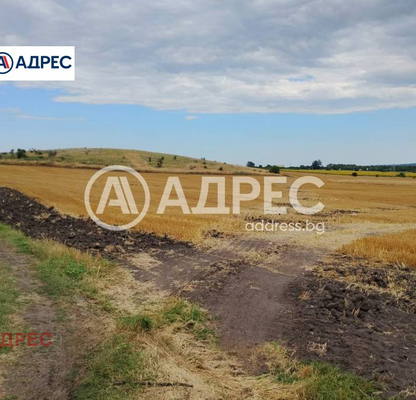 Photo 4 — Agricultural Land in Oblast Varna, Ignatievo
