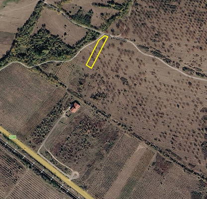 Photo 2 — Agricultural Land in Oblast Plovdiv, Karlovo