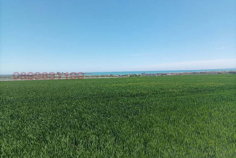 Agricultural Land in Oblast Burgas, Pomorie