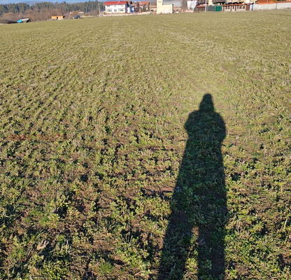 Photo 2 — Arable Land in Blagoevgrad, Banya