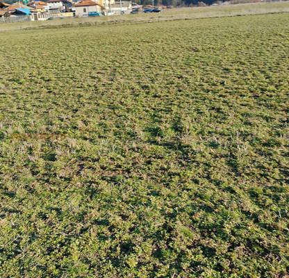 Photo 3 — Arable Land in Blagoevgrad, Banya