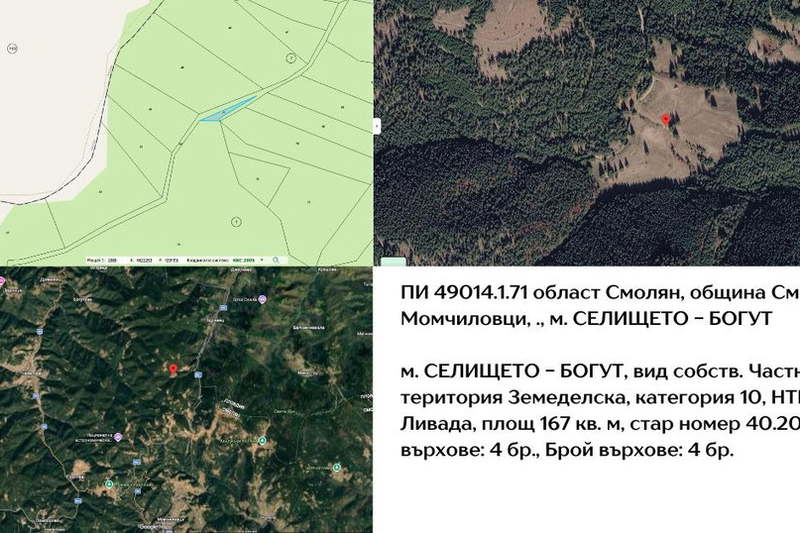 Agricultural Land in Oblast Smolyan, с. Богутево
