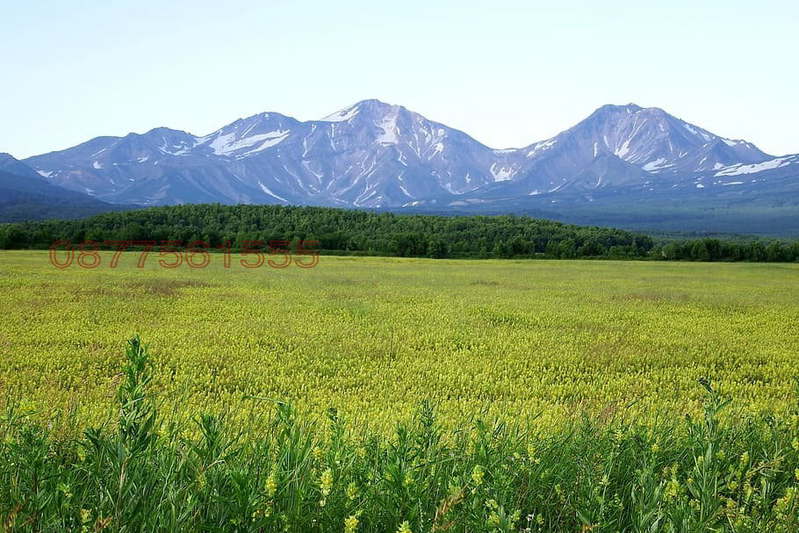 Земеделски имот в Пазарджик, с. Бошуля