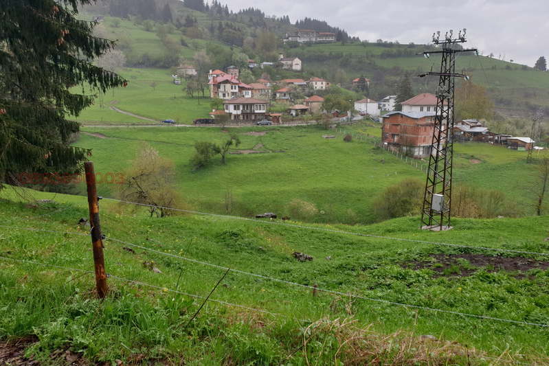 Agricultural Land in Oblast Smolyan, Gela