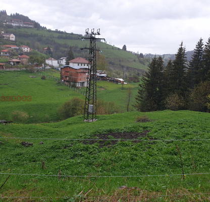 Photo 2 — Agricultural Land in Oblast Smolyan, Gela