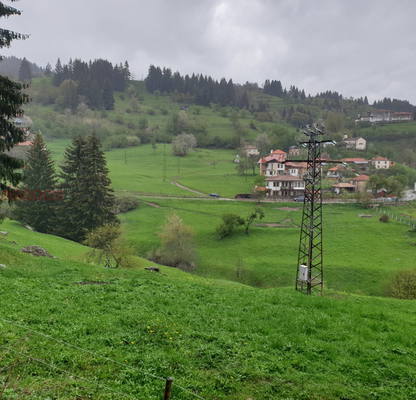 Photo 3 — Agricultural Land in Oblast Smolyan, Gela