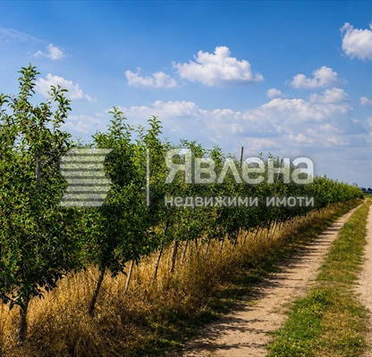 Снимка 2 — Земеделски имот в Пазарджик, с. Главиница