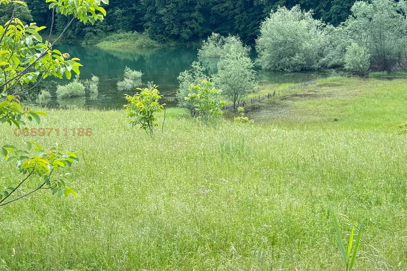 Agricultural Land in Oblast Lovech, Golyama Jelyazna