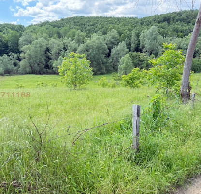 Photo 3 — Agricultural Land in Oblast Lovech, Golyama Jelyazna