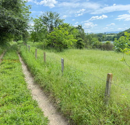Photo 4 — Agricultural Land in Oblast Lovech, Golyama Jelyazna