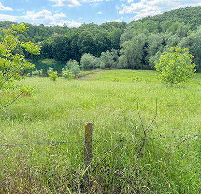 Photo 5 — Agricultural Land in Oblast Lovech, Golyama Jelyazna