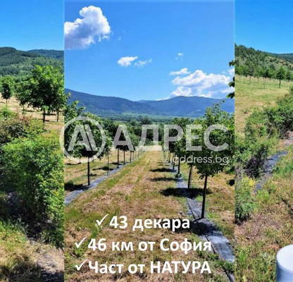 Снимка 2 — Земеделски имот в София, с. Горно Камарци