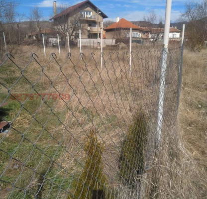 Photo 2 — Meadow in Sofia, Jelyava