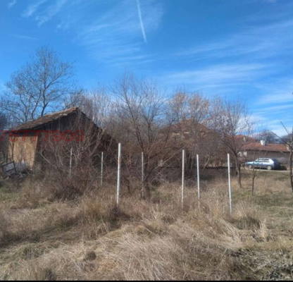 Photo 3 — Meadow in Sofia, Jelyava
