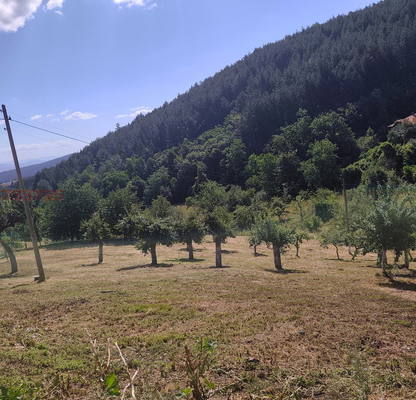 Photo 4 — Agricultural Land in Oblast Kyustendil, Jilenci