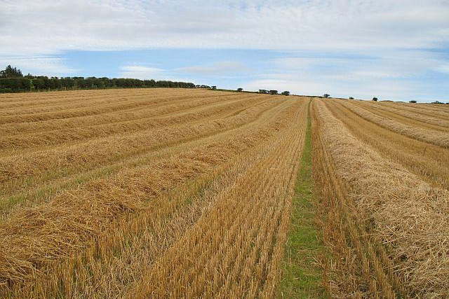 Agricultural Land in Oblast Dobrich, Konare