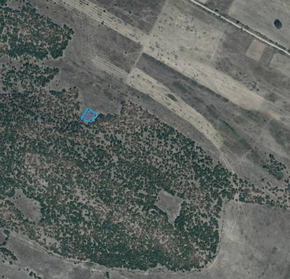 Photo 3 — Agricultural Land in Oblast Pazardjik, Lesichovo