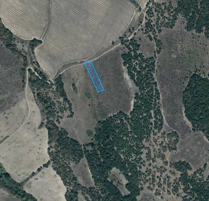 Photo 4 — Agricultural Land in Oblast Pazardjik, Lesichovo