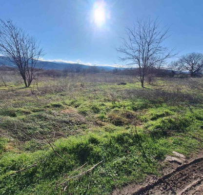 Photo 2 — Agricultural Land in Oblast Plovdiv, Markovo