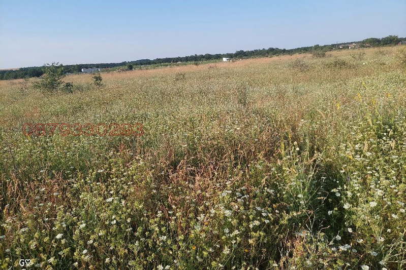 Пасище, мера във Варна, с. Новаково