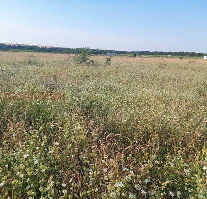 Снимка 3 — Пасище, мера във Варна, с. Новаково