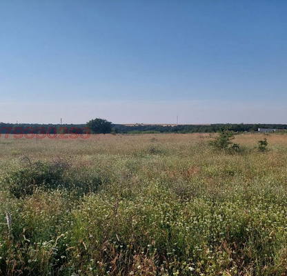 Снимка 5 — Пасище, мера във Варна, с. Новаково