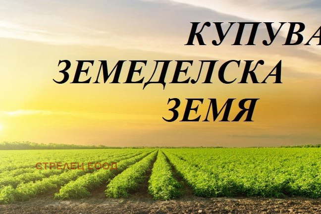 Arable Land in Dobrich, Opanec