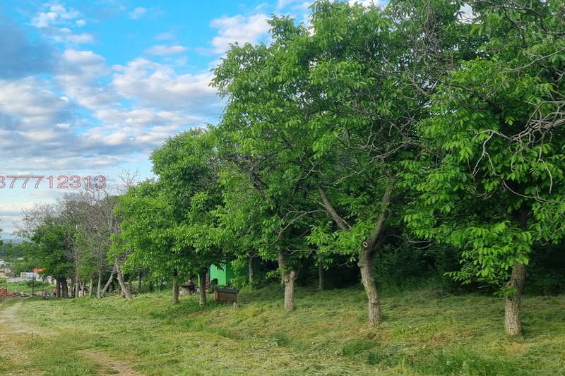 Agricultural Land in Oblast Plovdiv, Pyrvenec