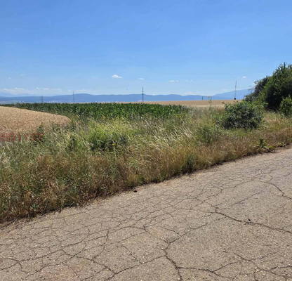 Photo 5 — Agricultural Land in област София, Stolnik