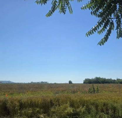 Photo 2 — Agricultural Land in Oblast Varna, Topoli