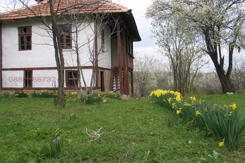 Къща в Търговище, Антоново