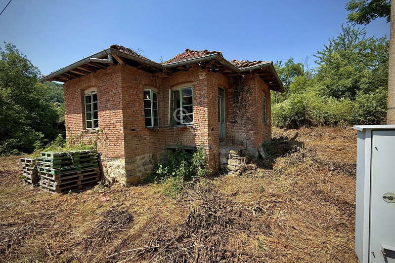 Къща във Велико Търново, Елена